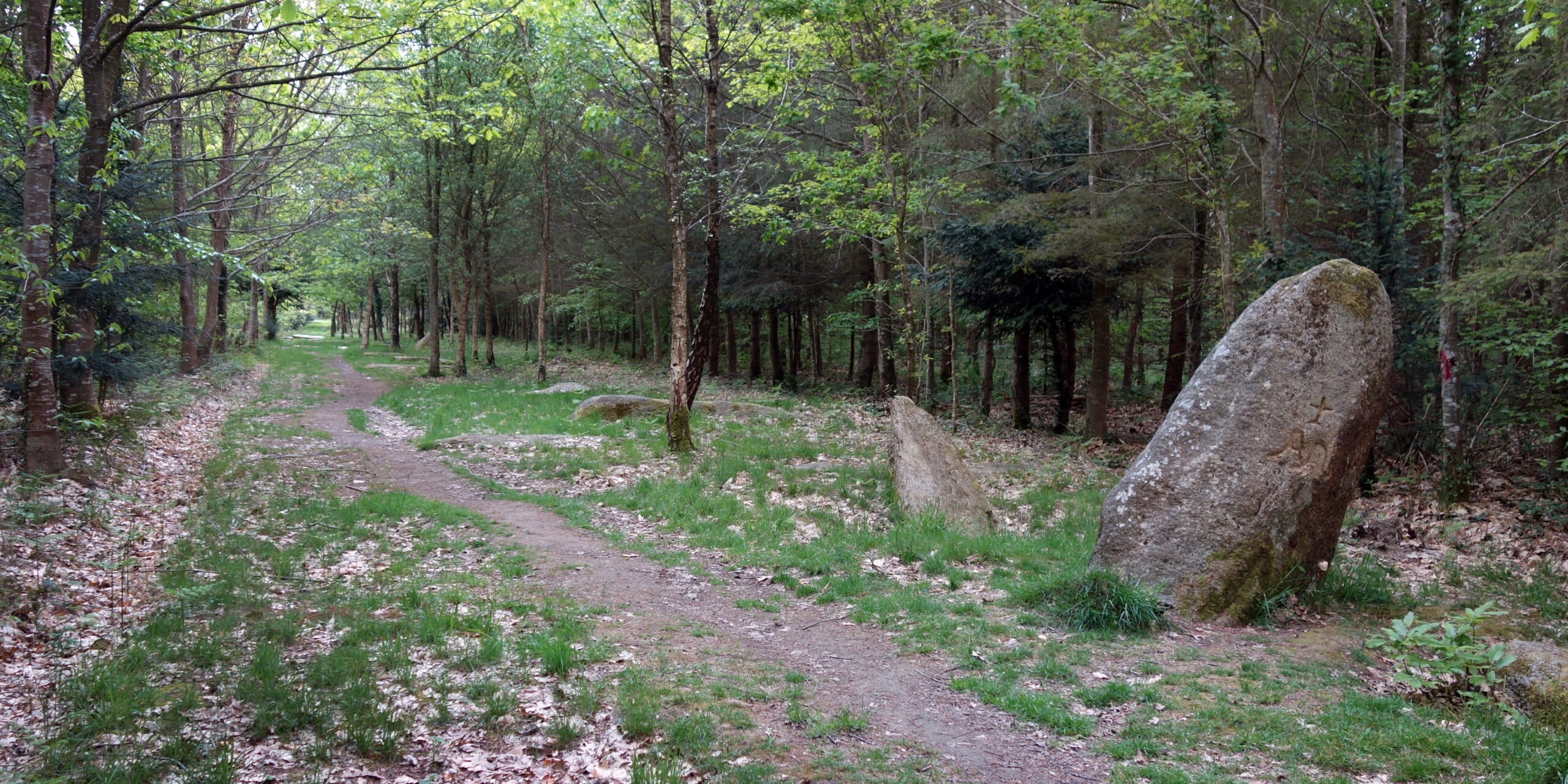 Alignement de Kornevec