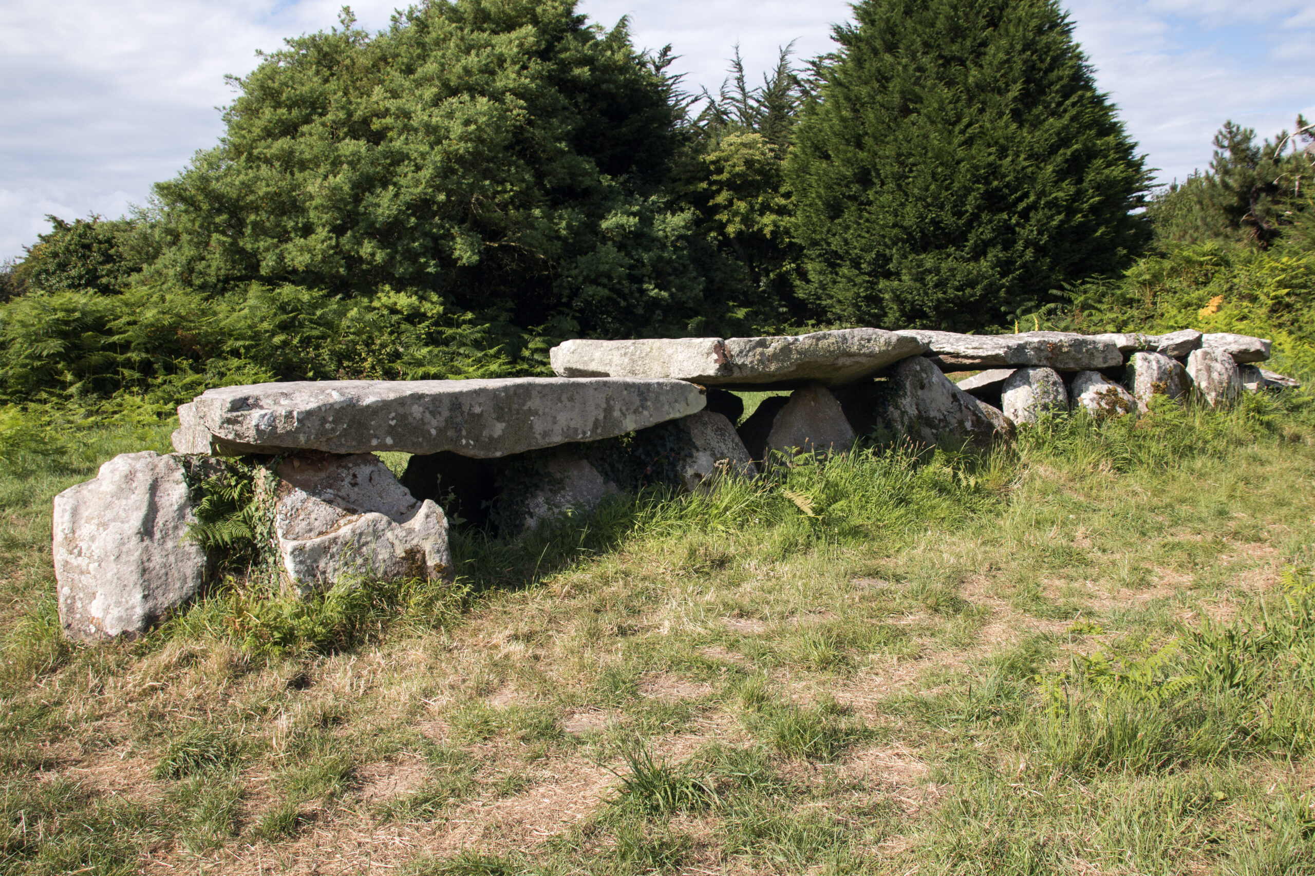 Allée couverte de Prajou-Menhir