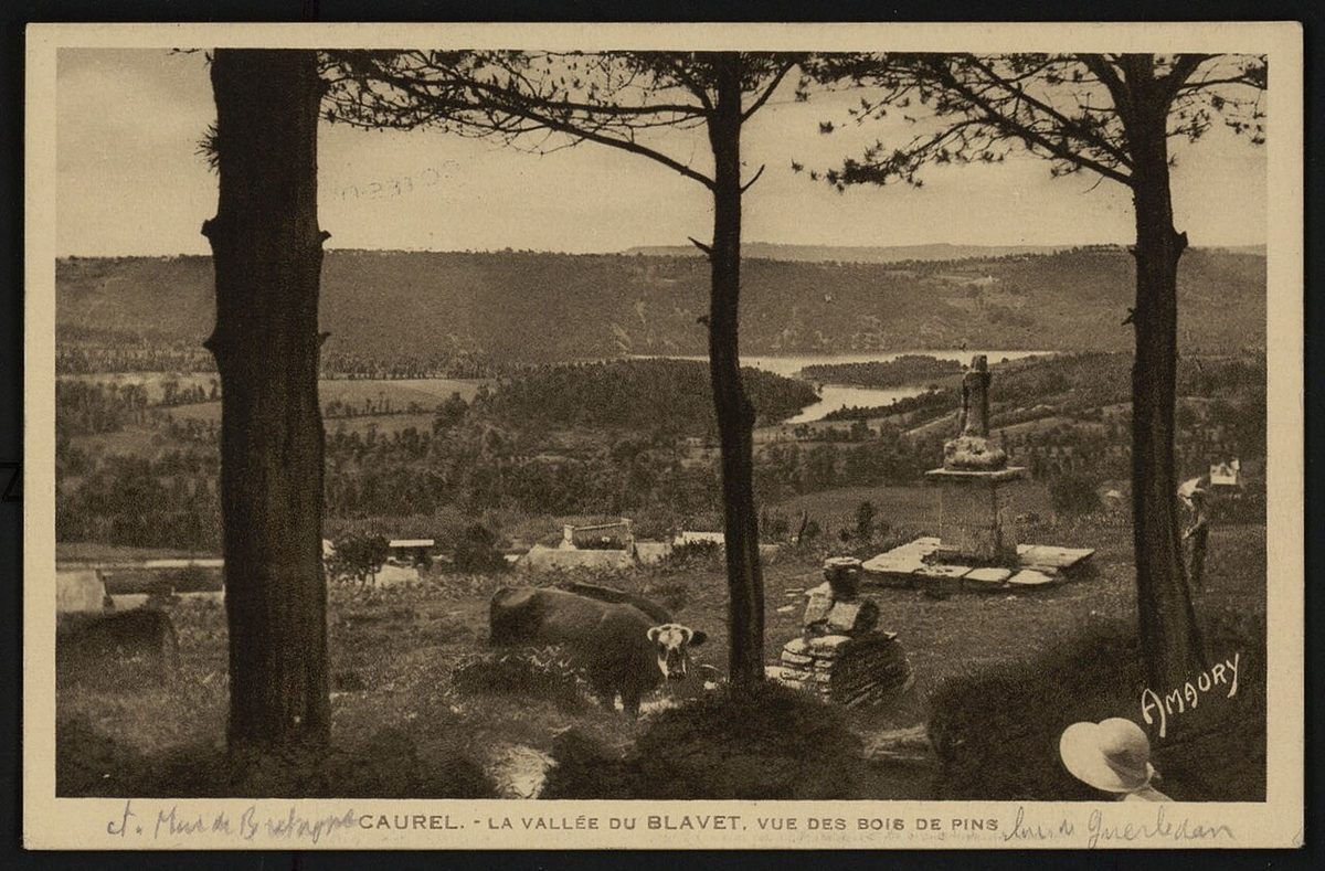 Bois de Caurel