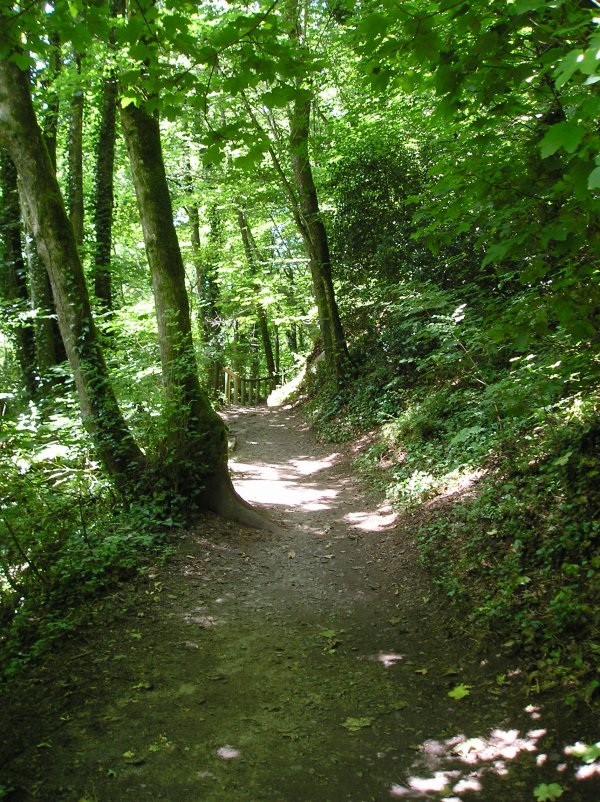 Bois de Keroual