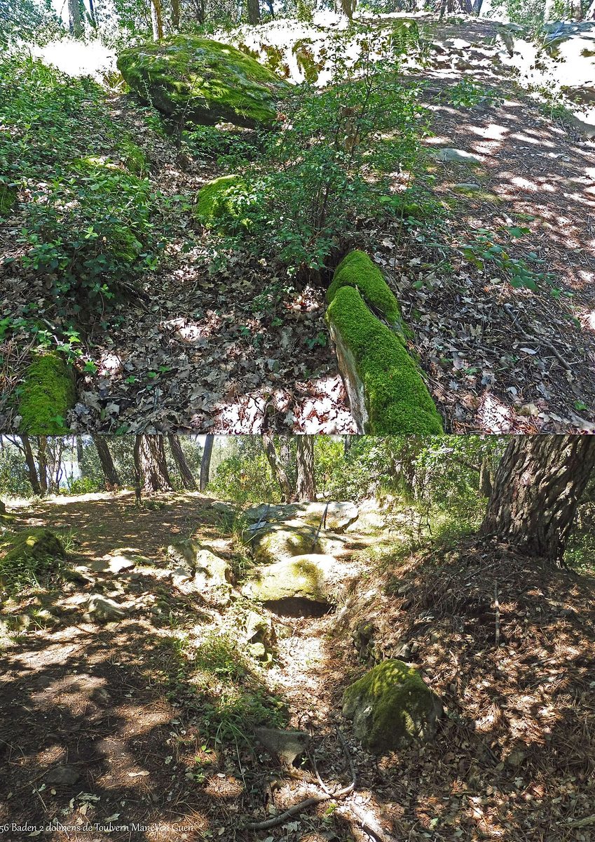 Bois de Toulvern