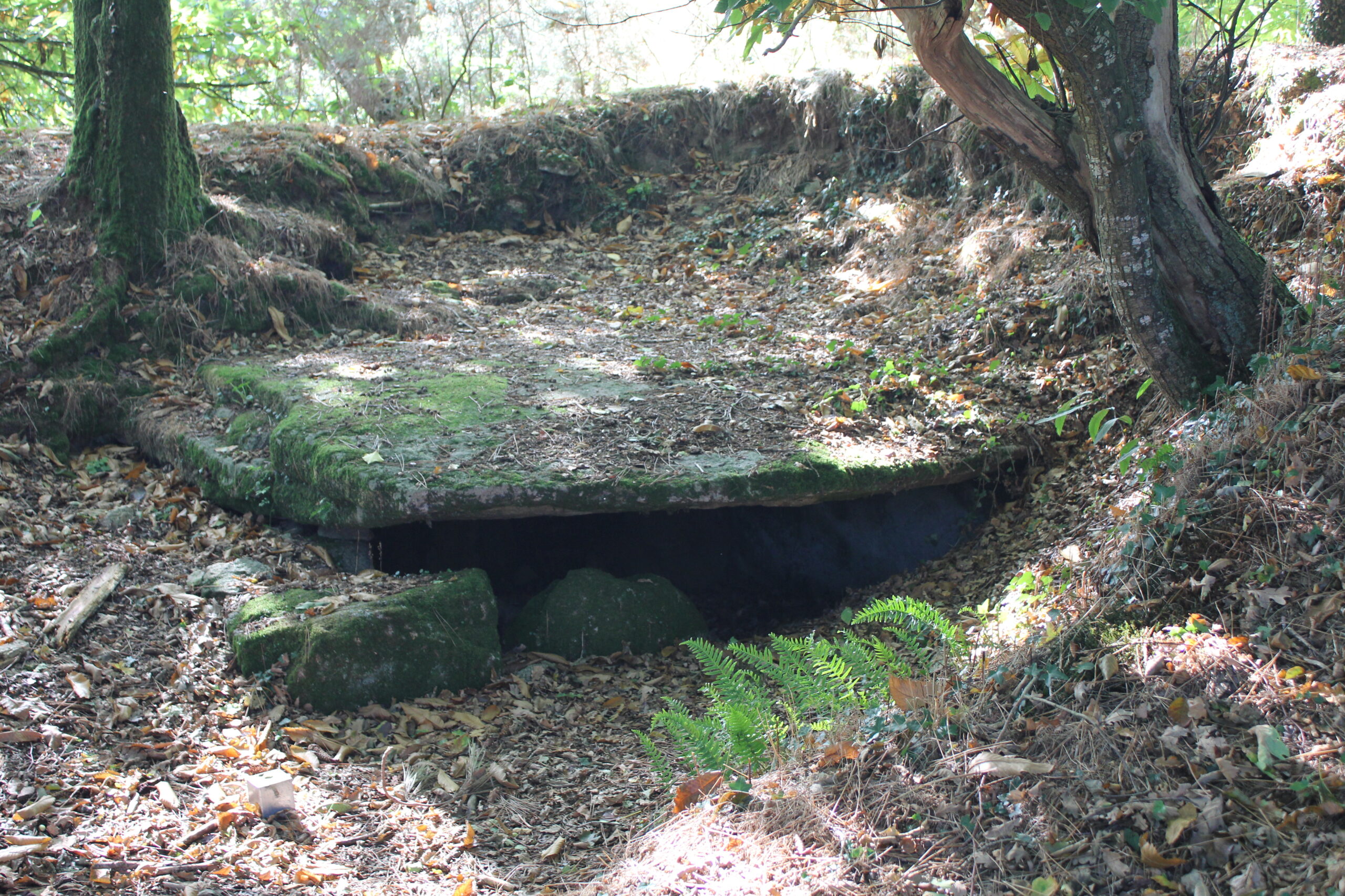 Dolmen de Kergonfalz