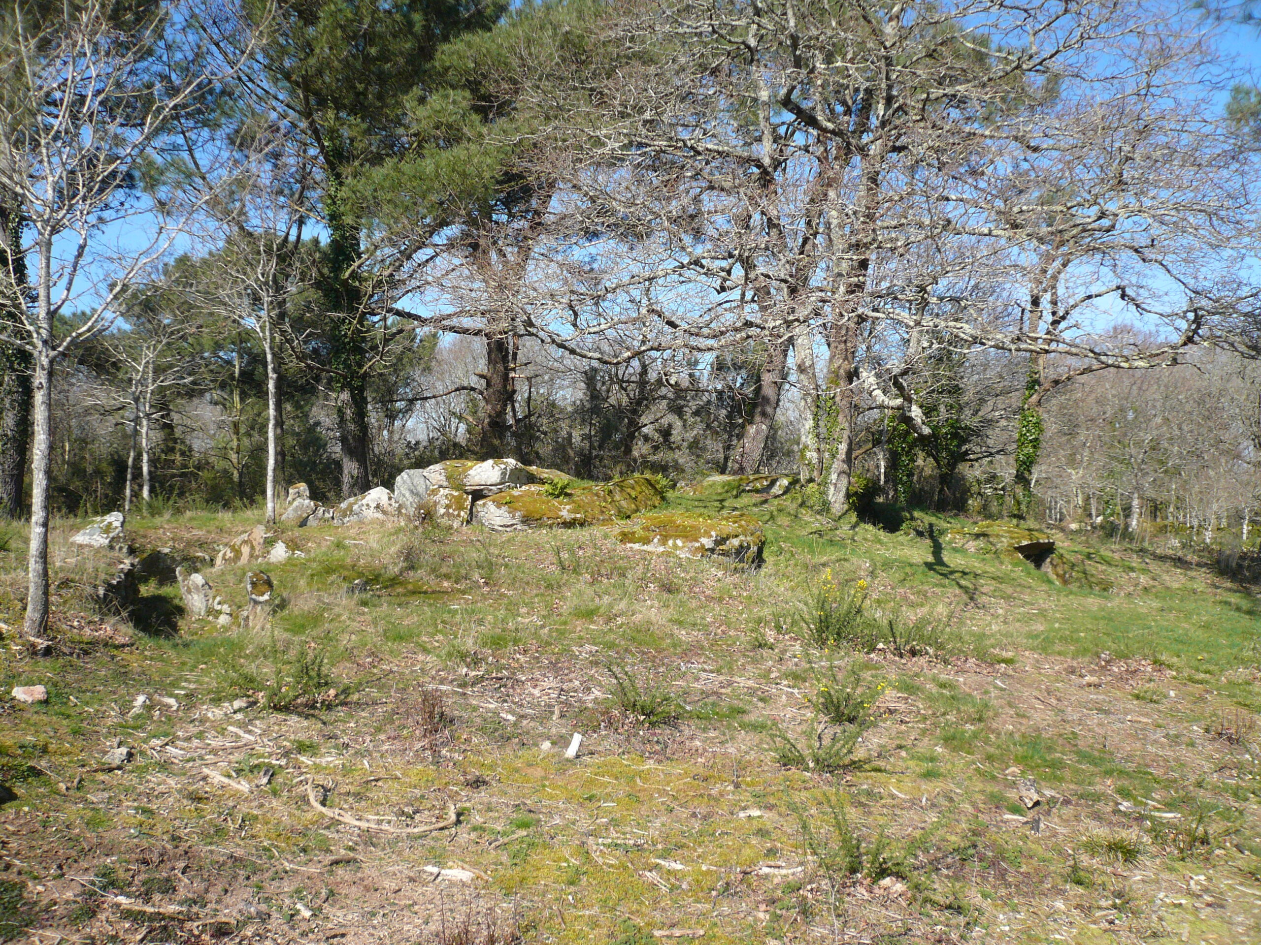 Dolmen de Kervilor Mané Bras