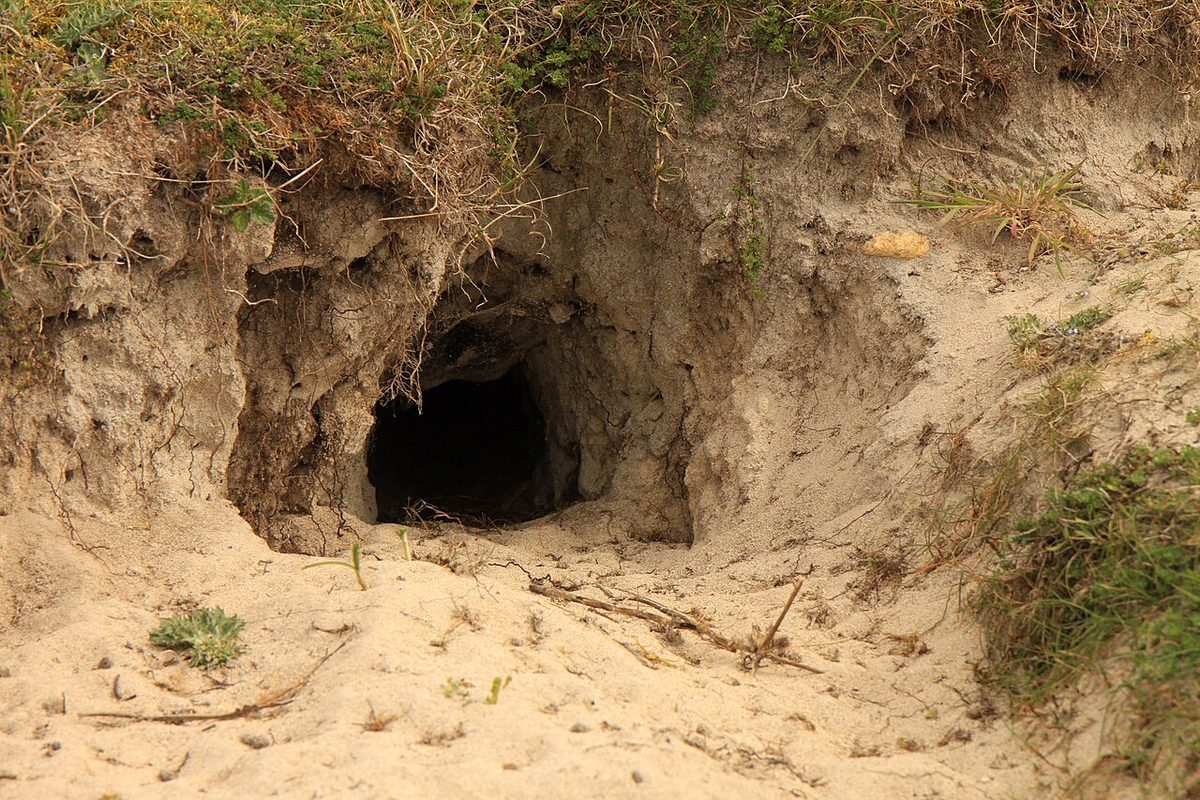 Dunes de Keremma