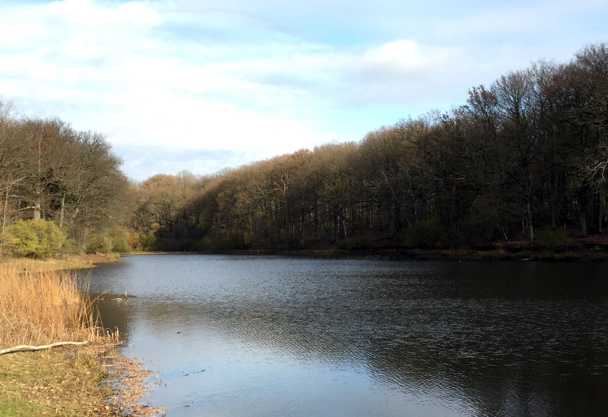 Etang de la Grenouillère