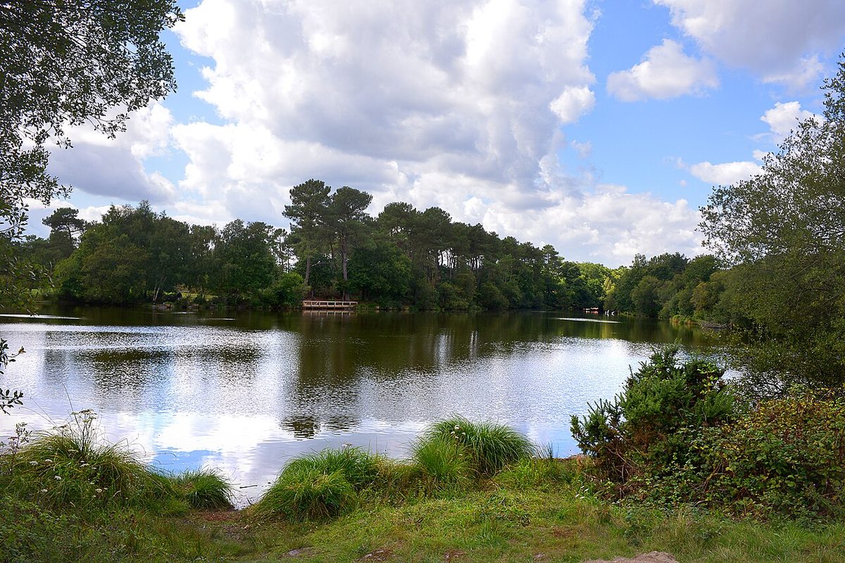 Etang de Trégu