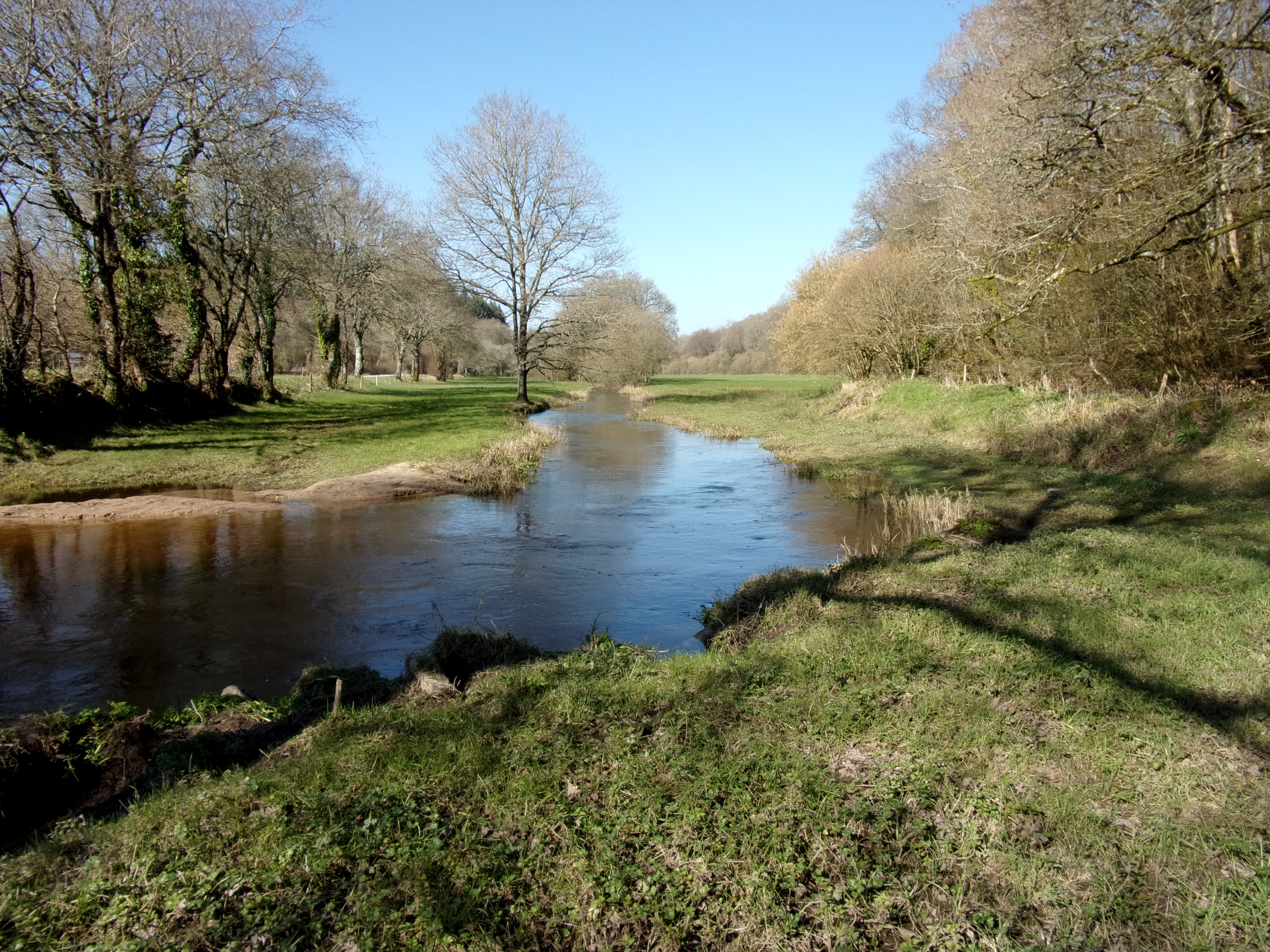 Forêt de Botterf
