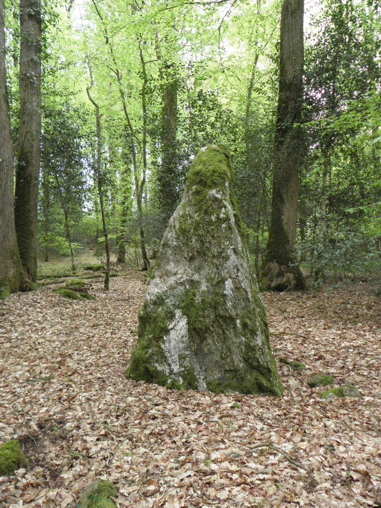 Forêt domaniale de Haute Sève