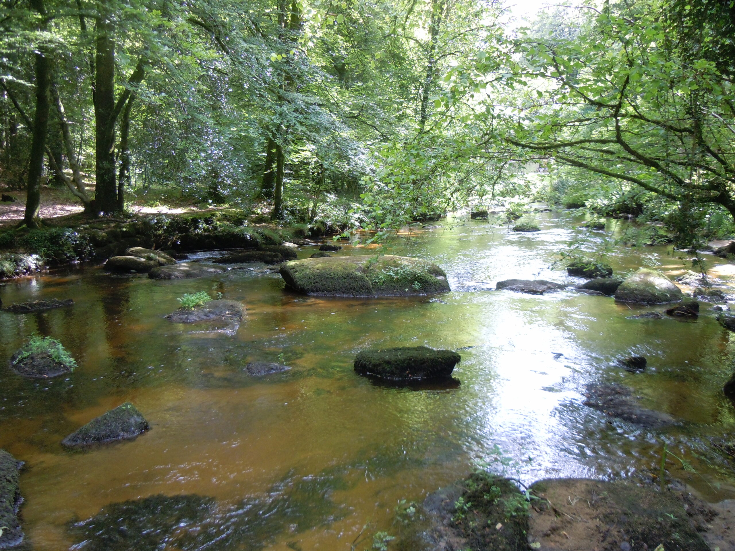 Forêt Domaniale de Pont Calleck