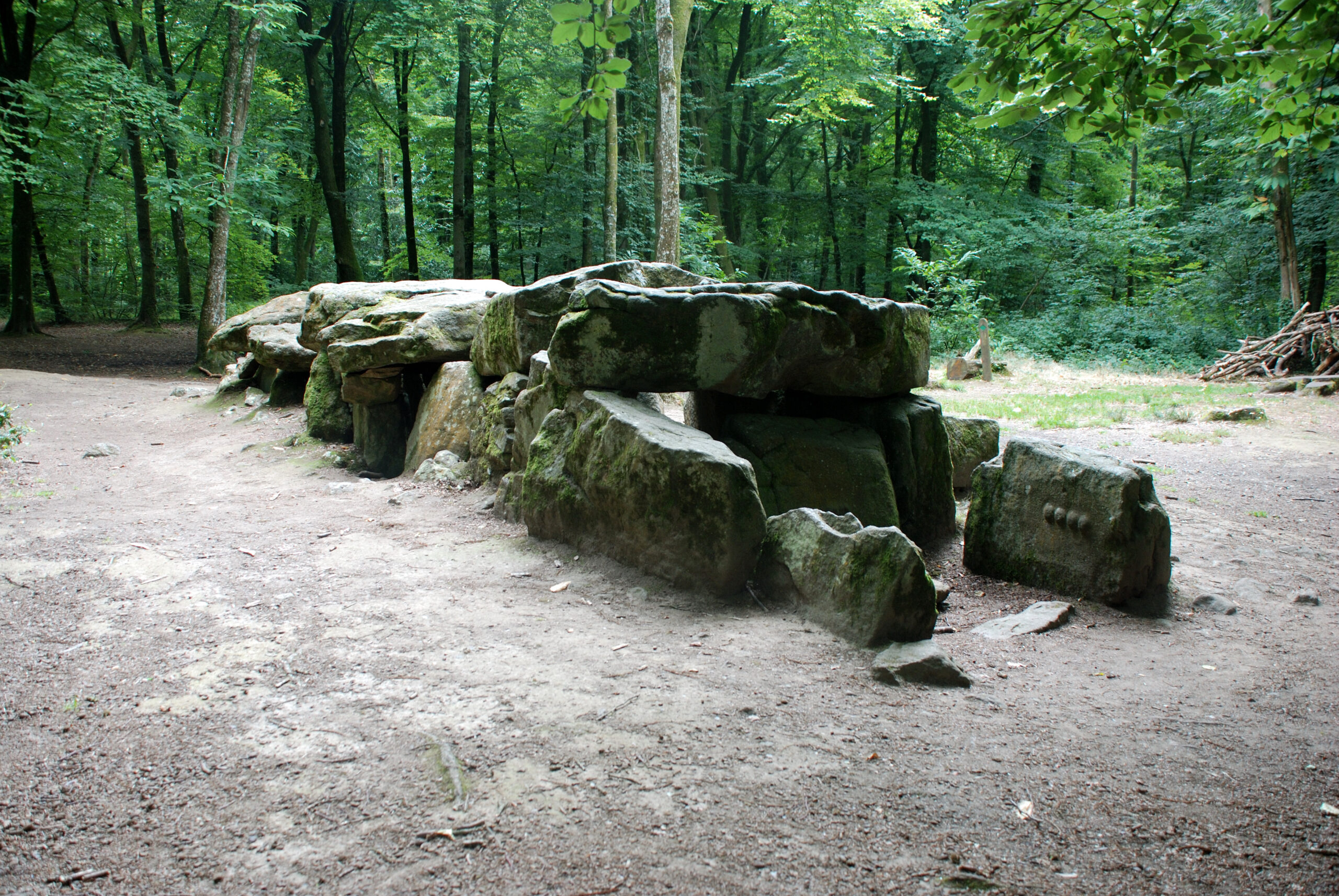 Forêt Domaniale du Mesnil