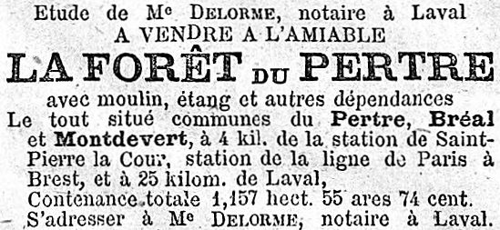 Forêt du Pertre