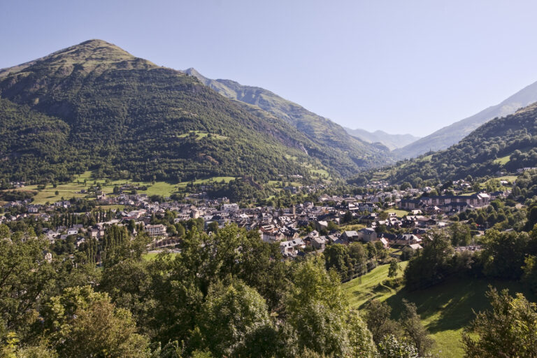 Forêt St Sauveur