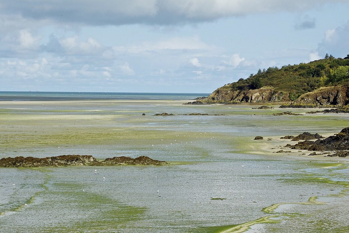 La pointe du Grouin