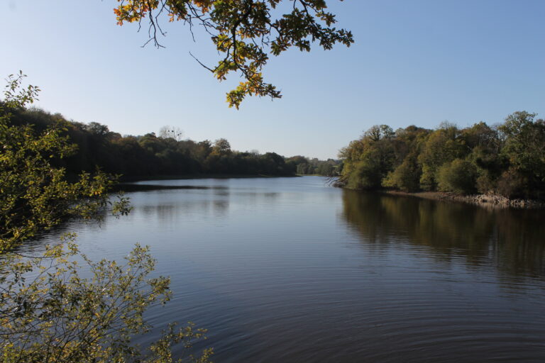 Lac de Bosméléac