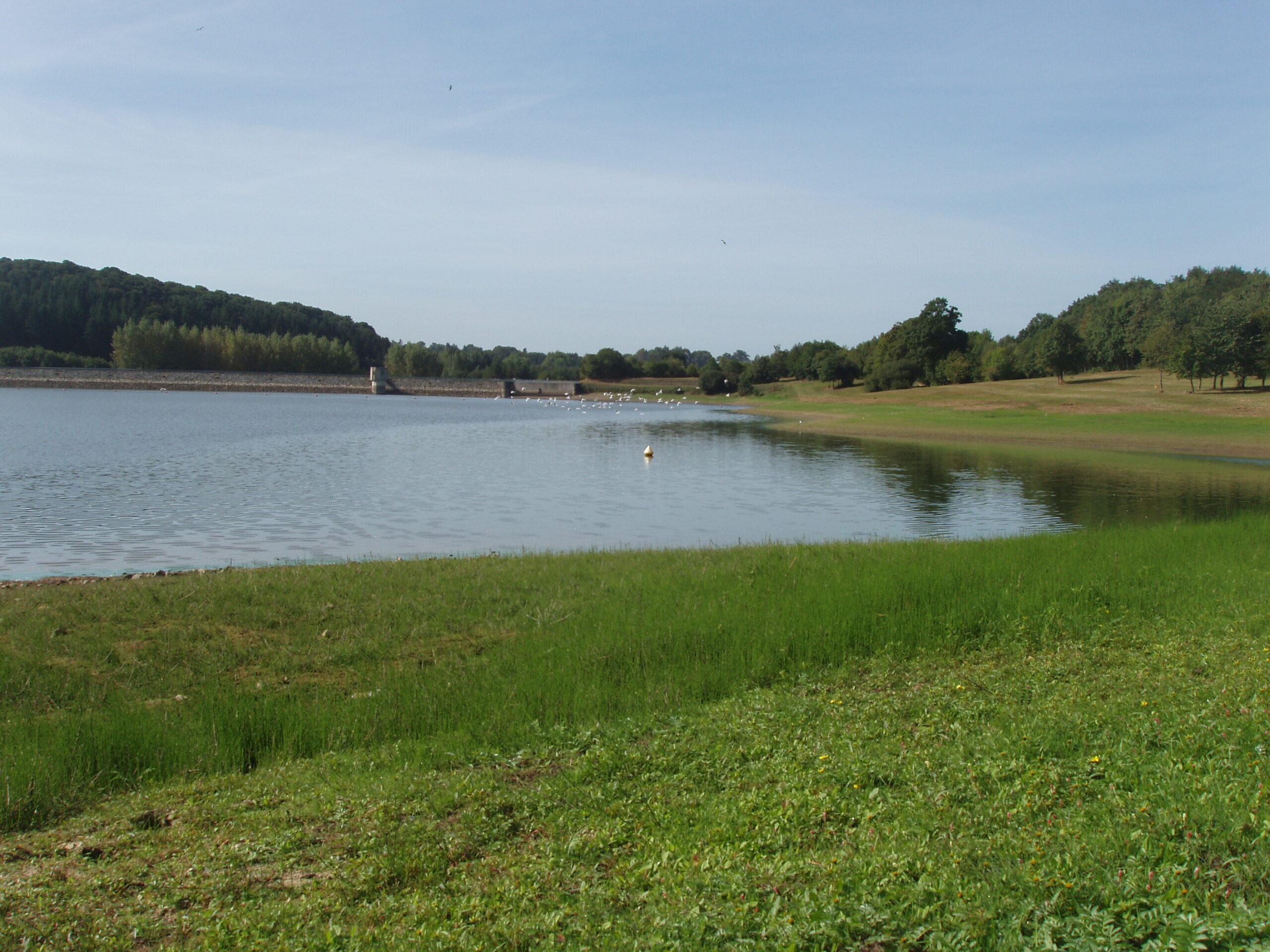 Lac de la Haute-Vilaine