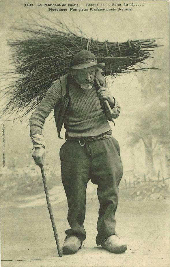 Le bois du Nevet