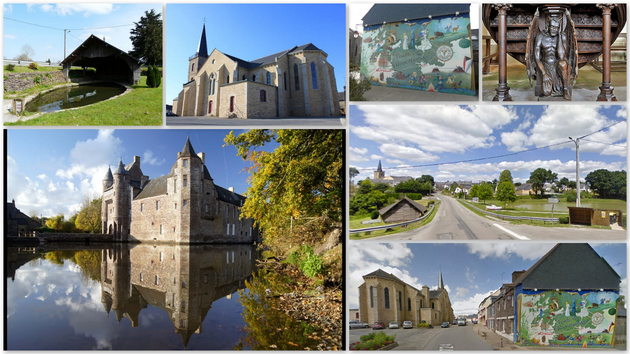 Le châtaignier du Pas aux Biches