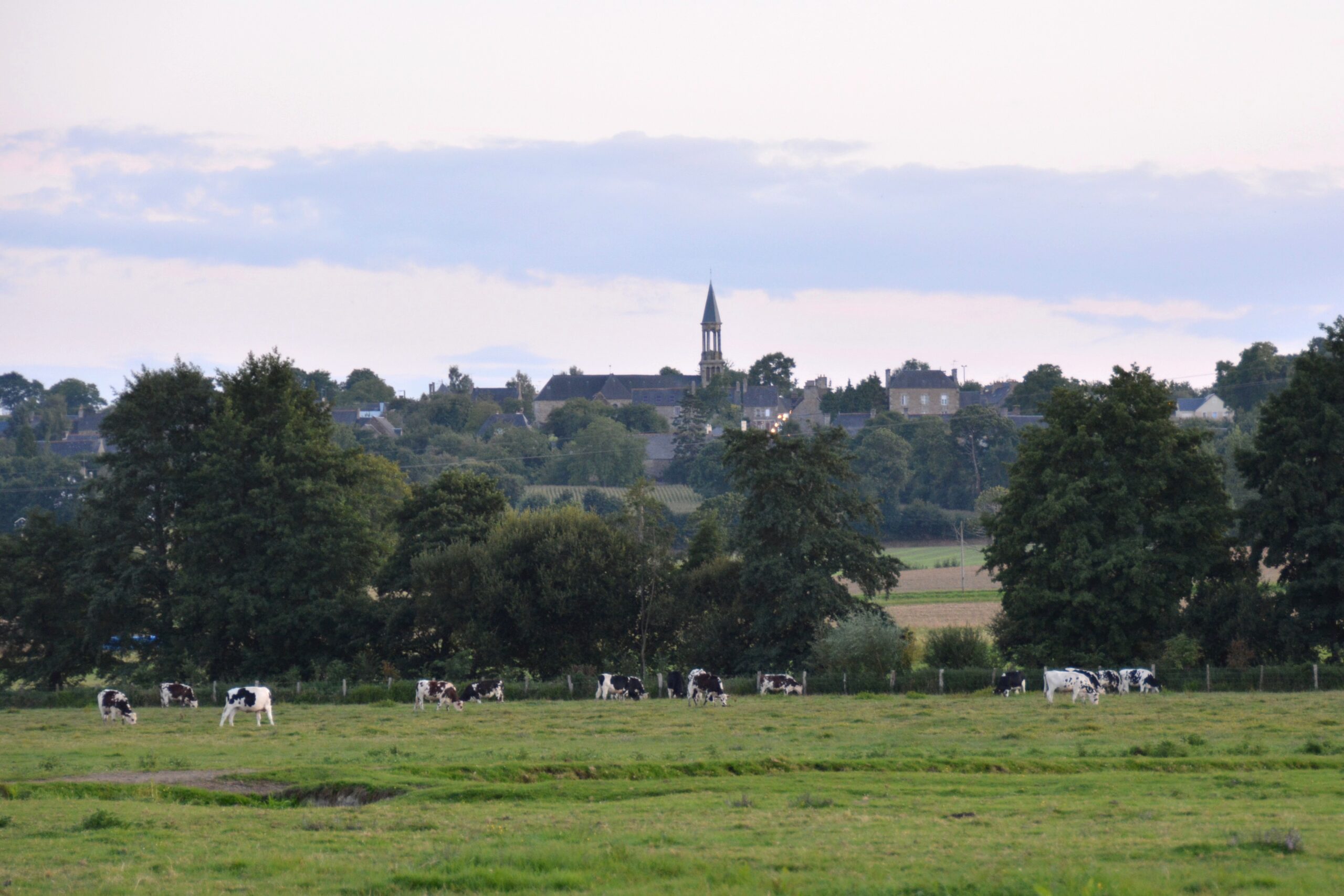 Le Marais de Sougeal