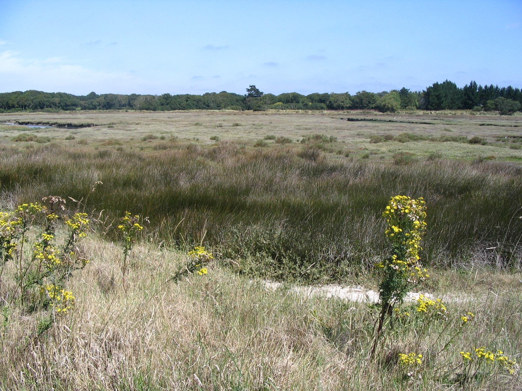 Le Polder de Mousterlin