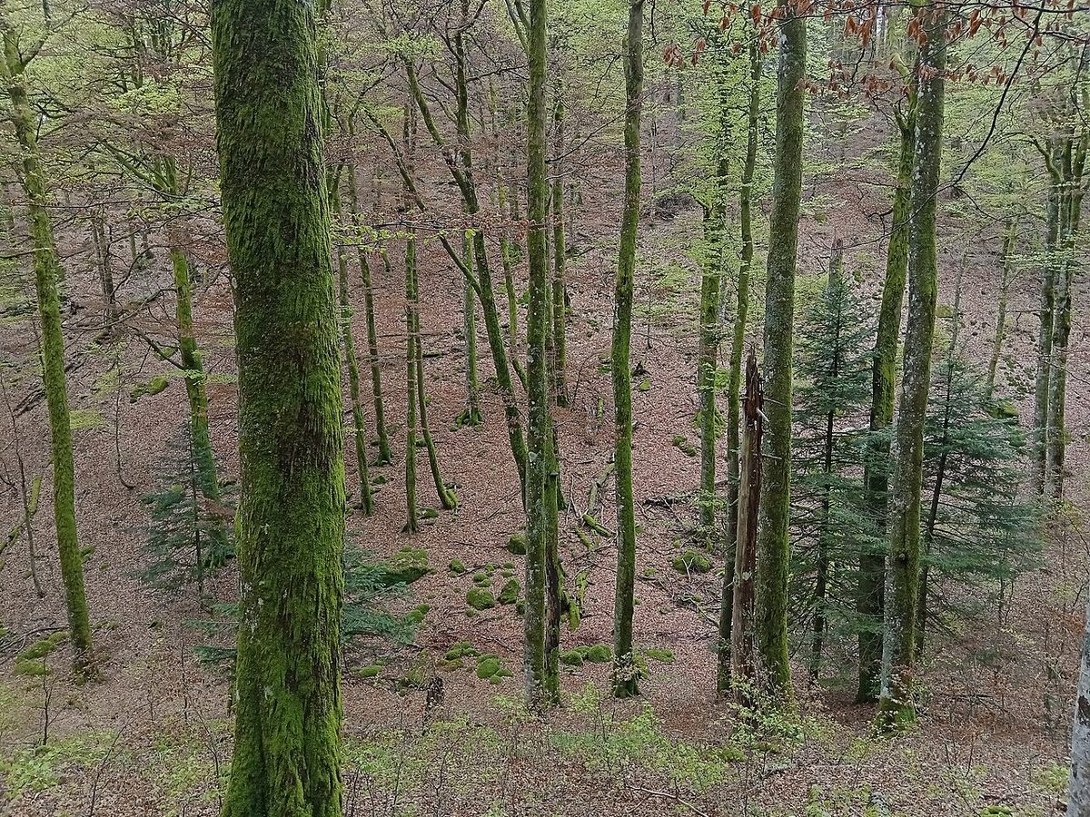 Le Vallon Sauvage