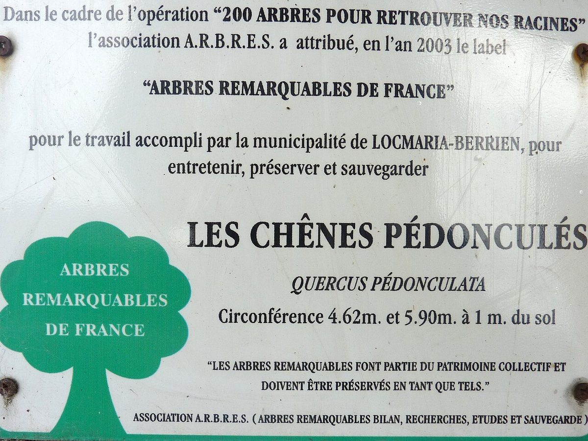 Les Arbres Remarquables