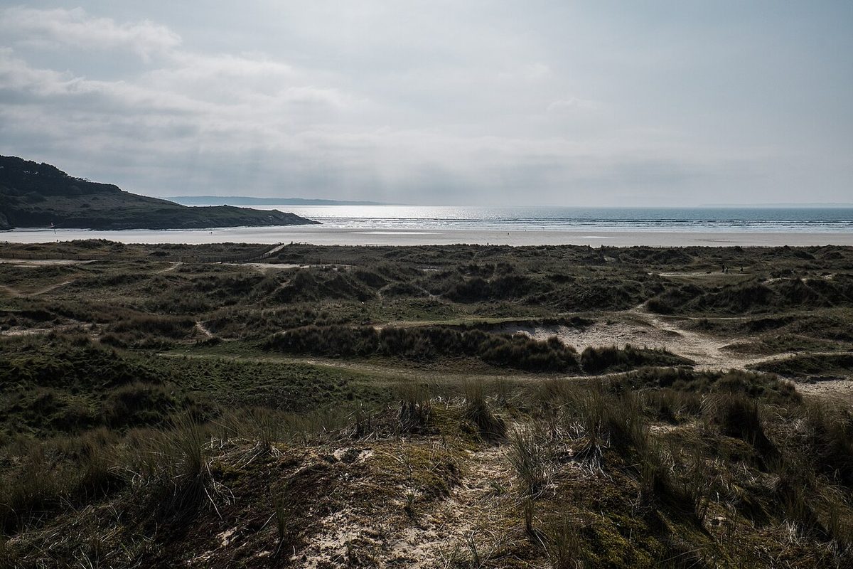 Les dunes de Sainte-Anne-La-Palud