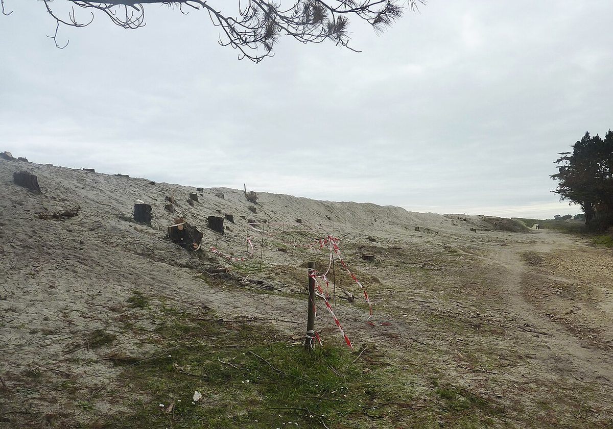 Les dunes du Port