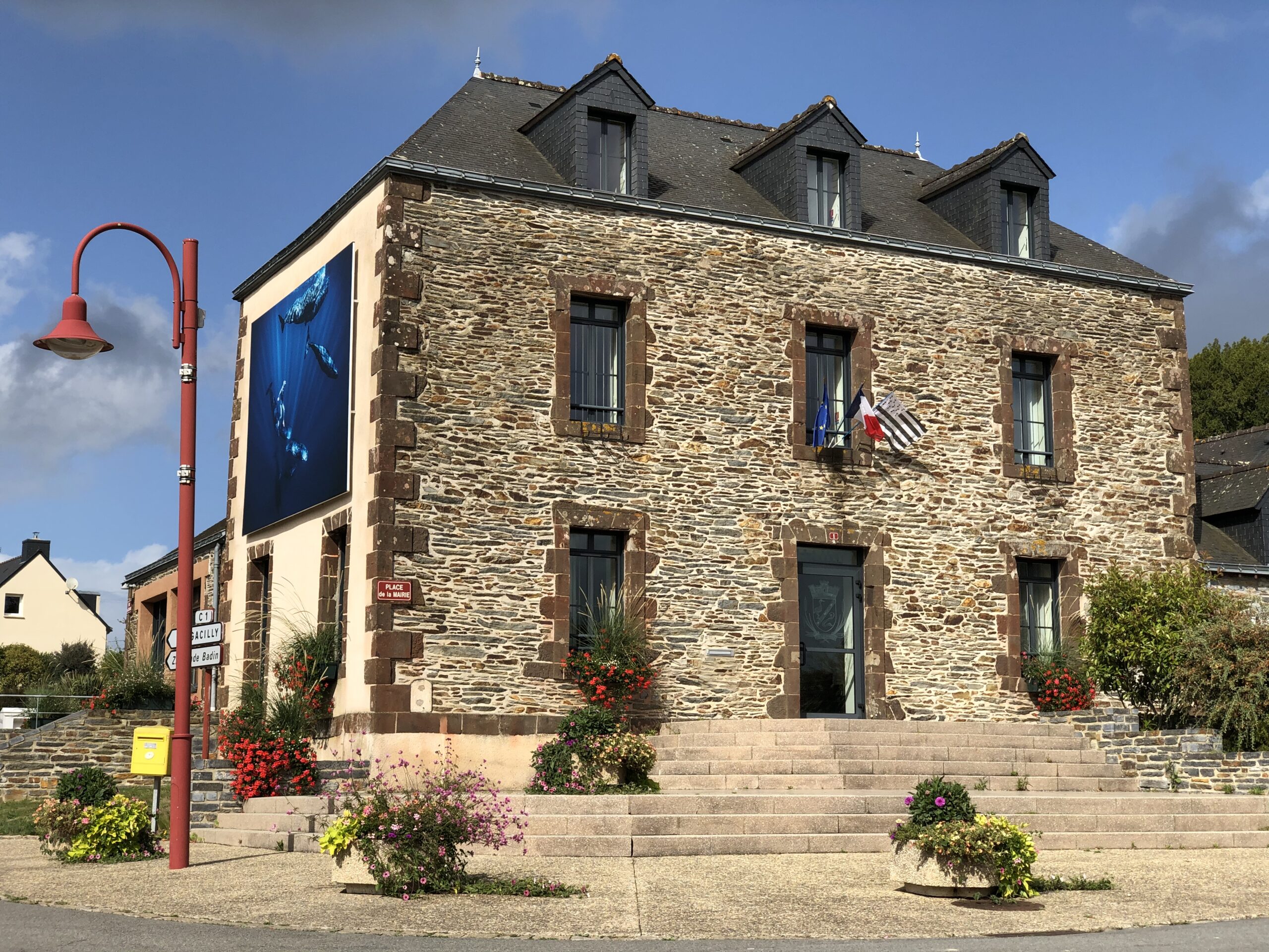 Les marais de Glénac