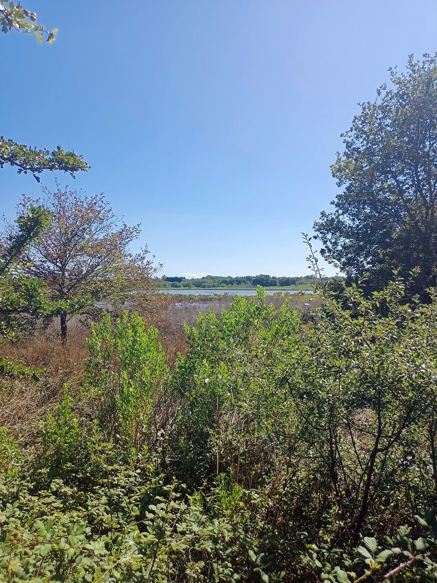 Les Marais de Pen en Toul