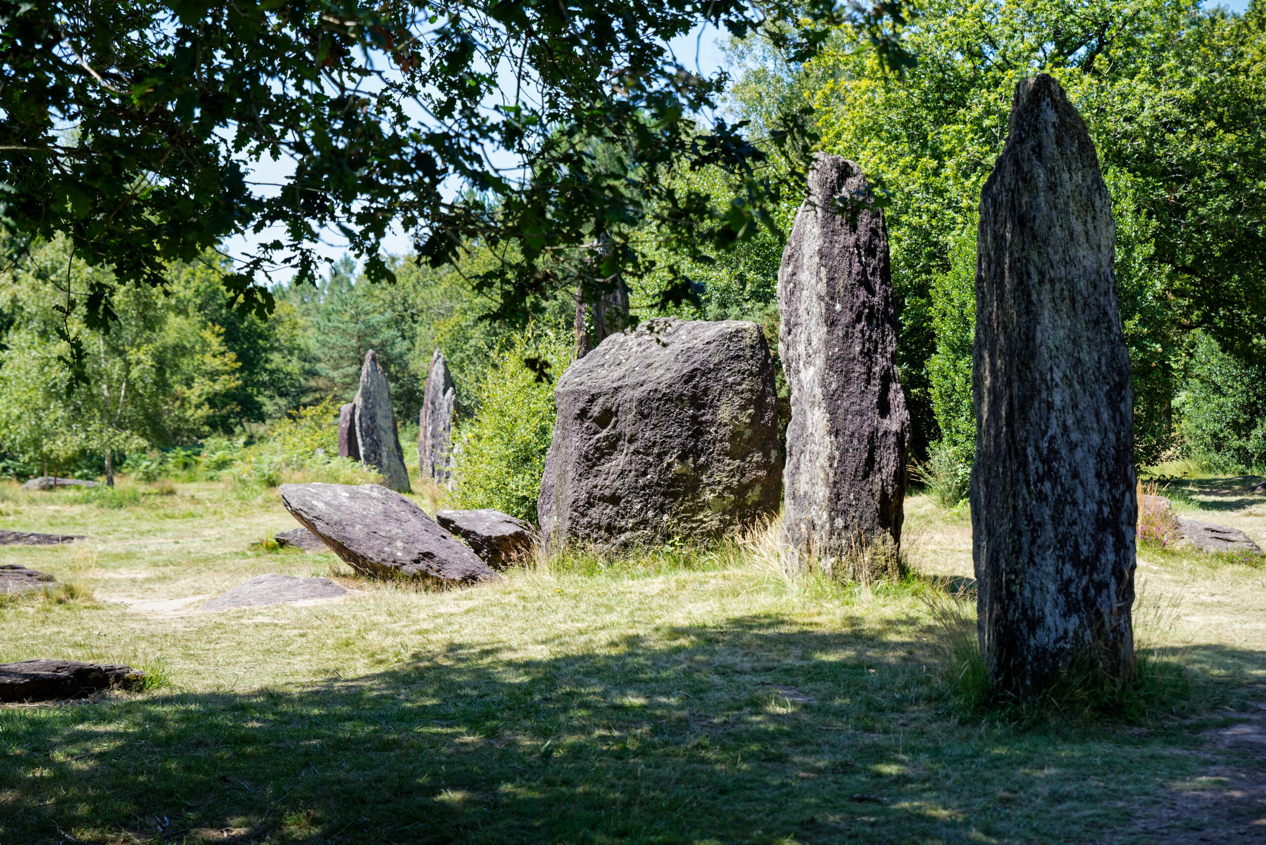Les Menhirs de Monteneuf