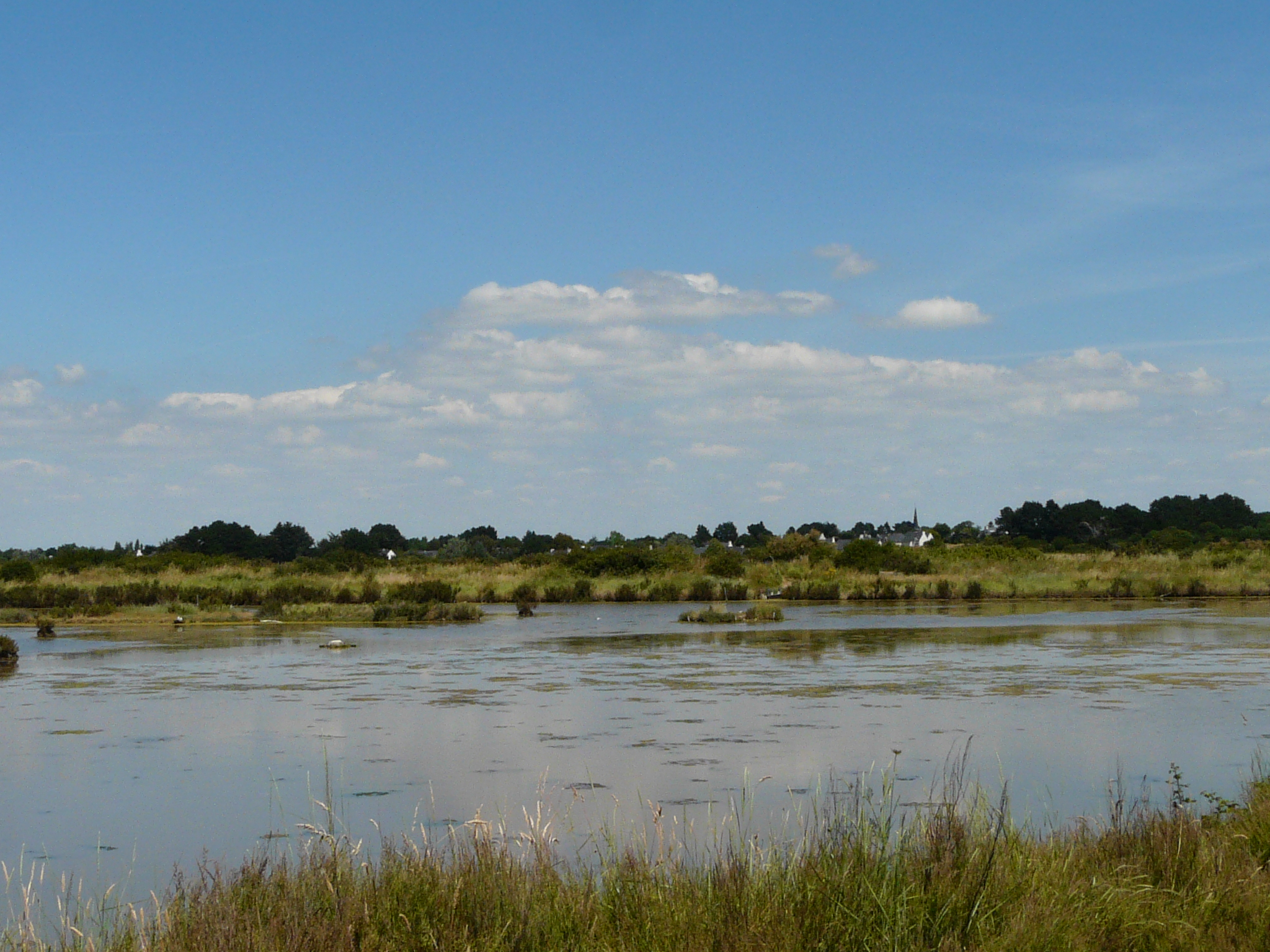 Marais de Lasné