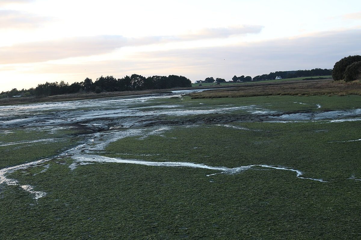 Marais du Hézo
