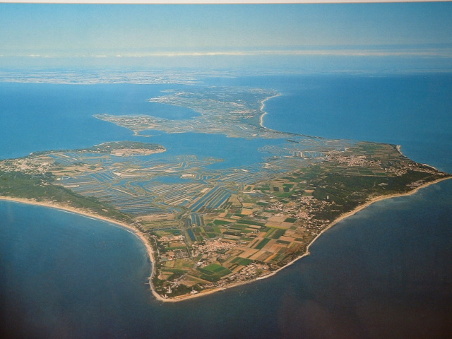 Martin Plage
