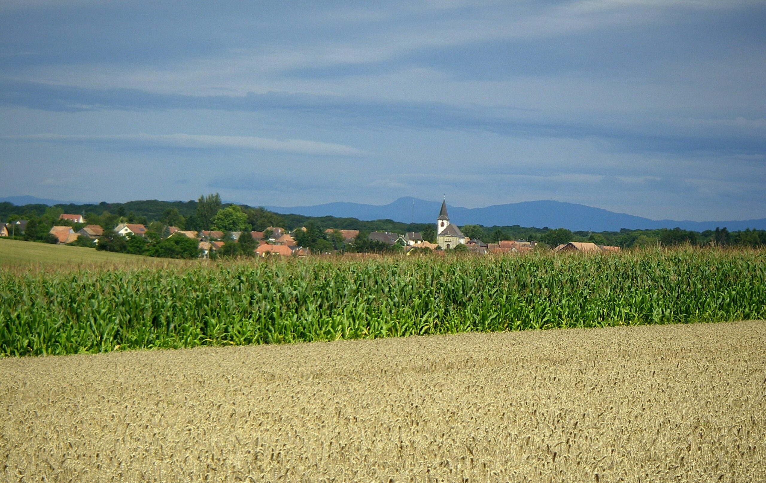 Parcours Art et Nature