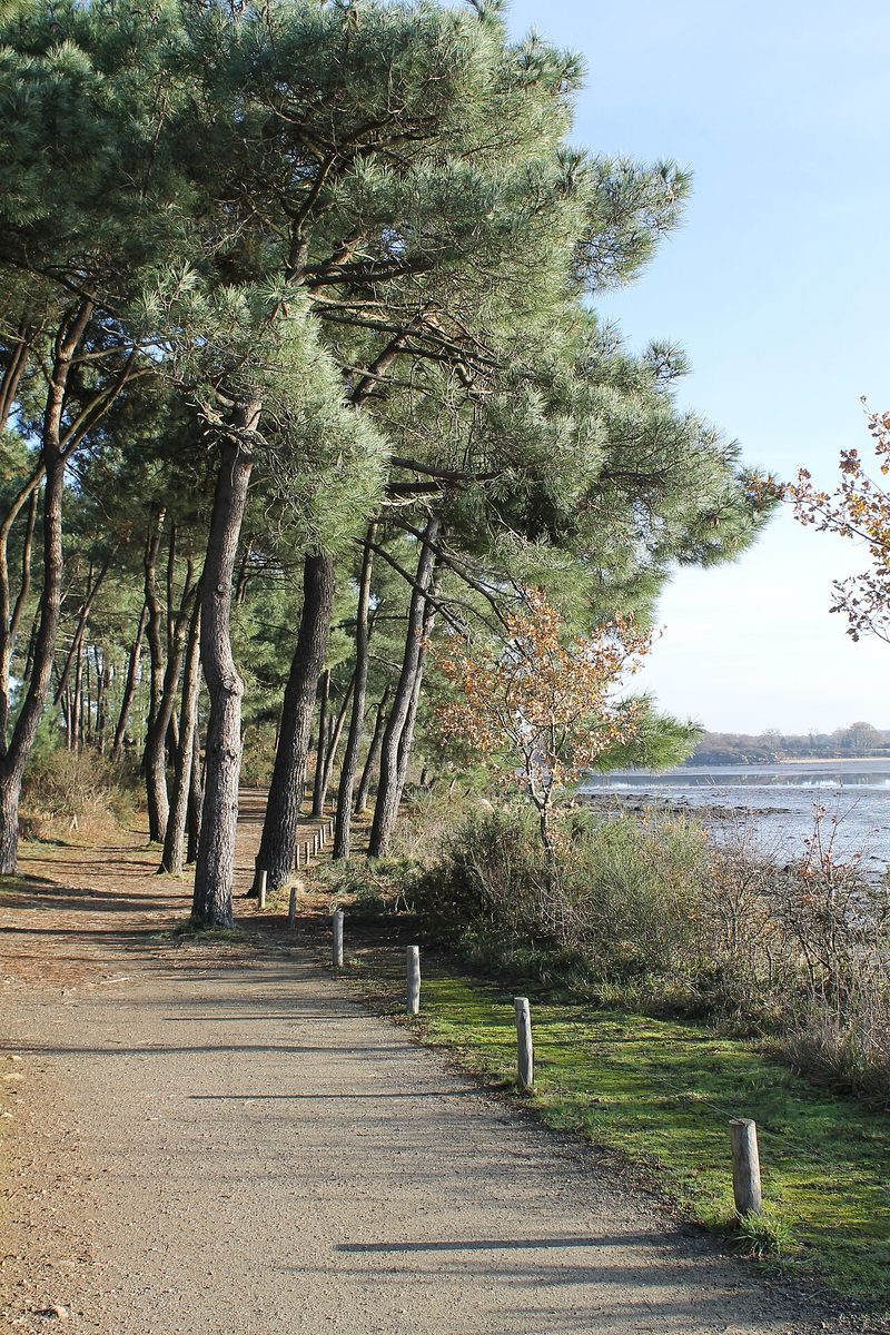 Pointe des Emigrés