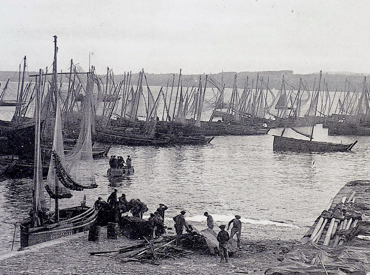 Port de pêche de Douarnenez