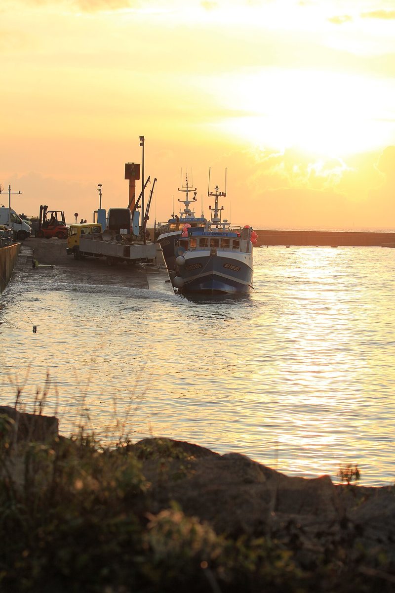 Port de pêche du Conquet