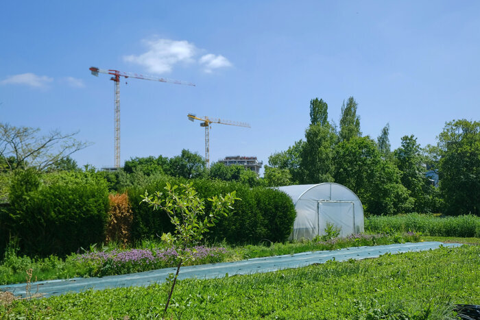 Un après-midi à la ferme de Quincé