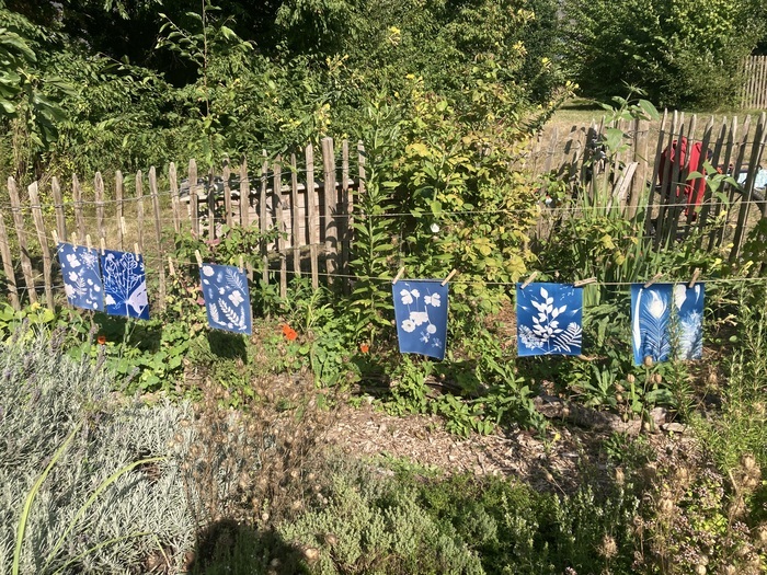 Atelier Cyanotype