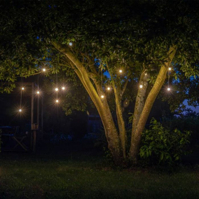 Nocturne de la biodiversité à la ferme de Quincé