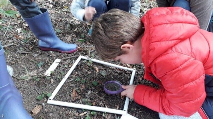 Explorateurs et exploratrices de la biodiversité – Avec les petits débrouillards