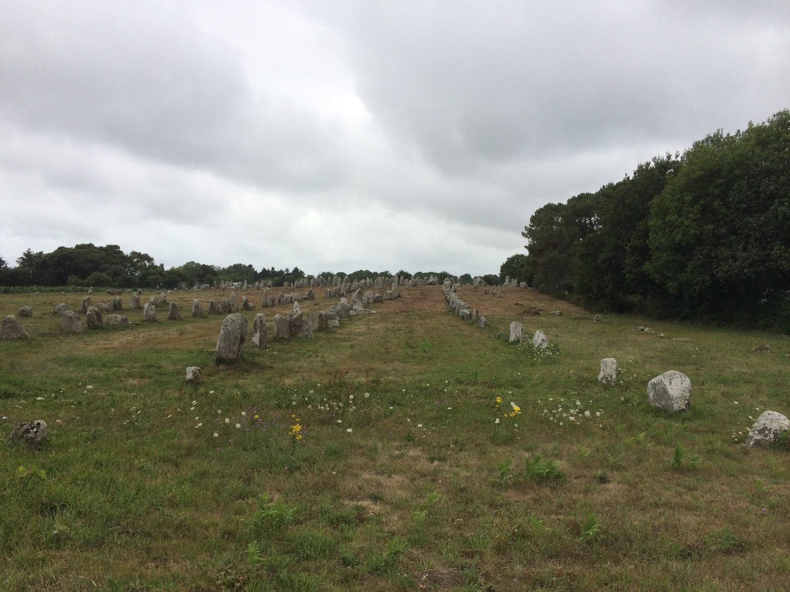 Que faire à Carnac en famille : les alignements mégalithiques, plus grand ensemble au monde