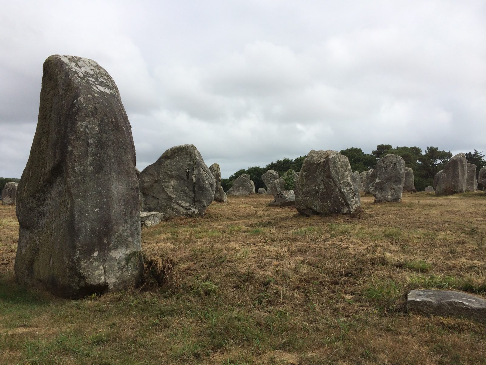 Menhirs mégalithiques de Carnac vus de face