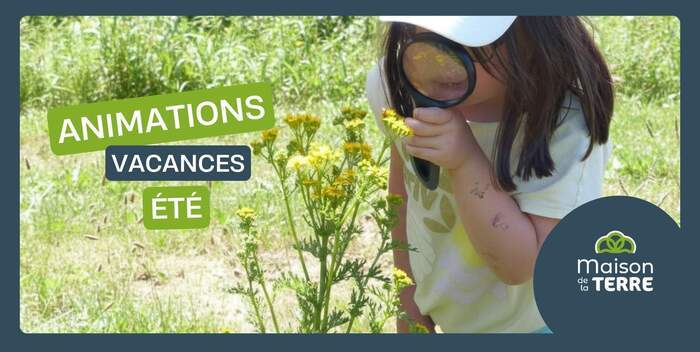 A la découverte des petites bêtes du sol
